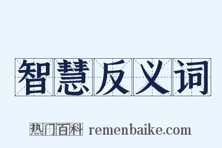 智慧反义词是什么意思的图片